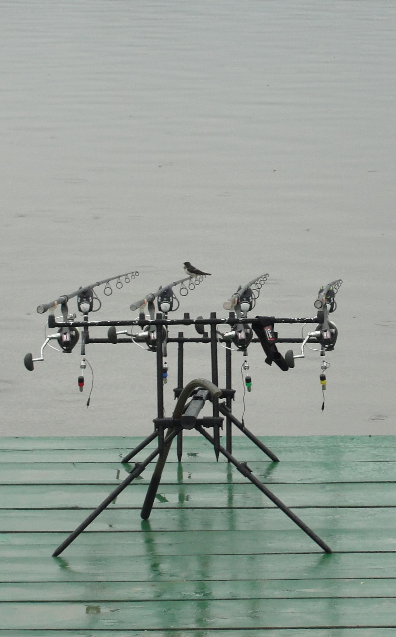 Moara Vlasiei 2 29 - 30 iun. - dsc00803.JPG